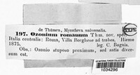 Image Associated With the Occurence